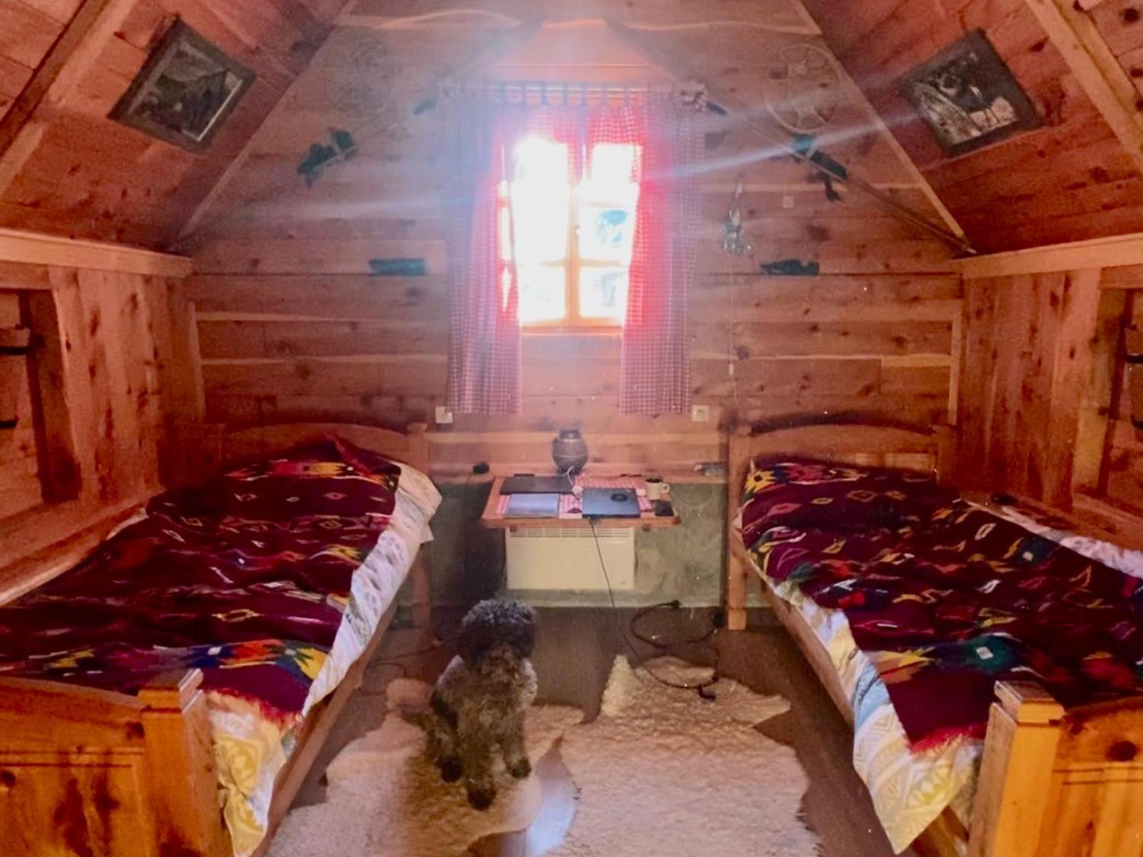 Etno Smjestaj Bjelasica Kolašin Cameră foto