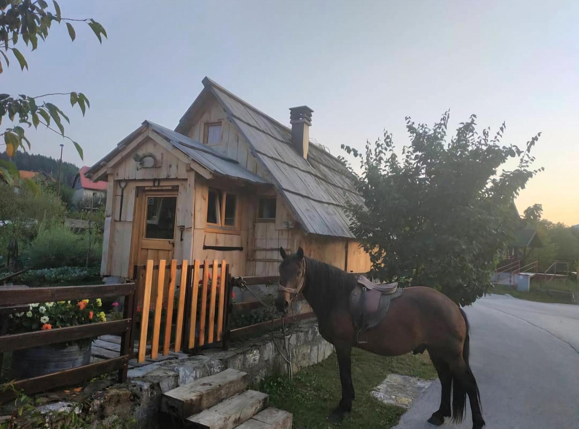 Etno Smjestaj Bjelasica Kolašin Exterior foto